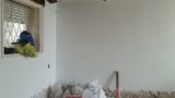 20150208_153659 (Medium)